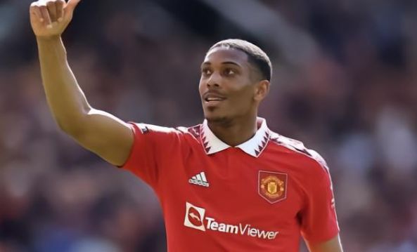 生涯的基础 生涯的基础